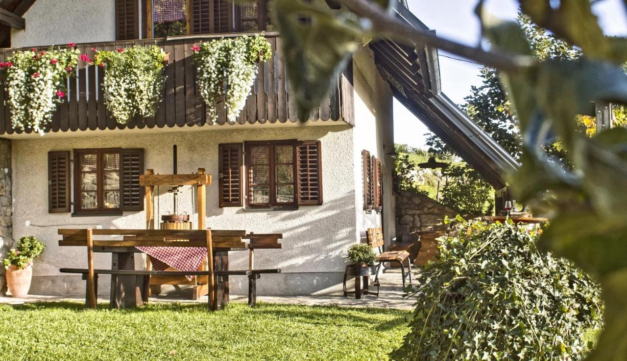Vineyard Cottage Podrzaj Otočec Exterior foto