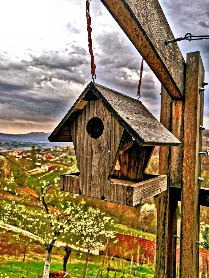 Vineyard Cottage Podrzaj Otočec Exterior foto